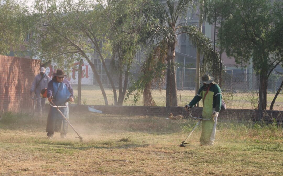 El equipo del Programa de Servicio y Mantenimiento del MECCyT,  equipo Hábitat y trabajadores de la Secretaría de Desarrollo Territorial y Ambiente  realizaron tareas en la Escuela de Educación Primaria Nº 168. “Nos estamos preparando para recibir a los docentes y padres la semana que viene”, adelantó la directora de la institución.