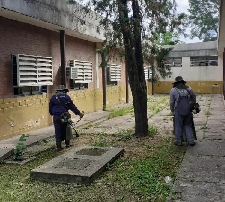 Junto al equipo de la Unidad de Servicios del MECCyT realizamos desmalezado y la limpieza integral en las Escuelas de Educación Primaria N° 274 y Escuela de Formación Profesional N°4.