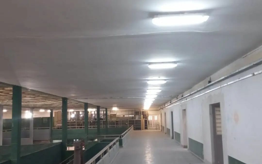 Avanza a gran ritmo la refacción integral y ampliación de la EES N° 11 “Lino Torres”. El inspector a cargo, Daniel Vega” advirtió que «es un logro importante este obra y estamos muy contentos con eso», finalizó.