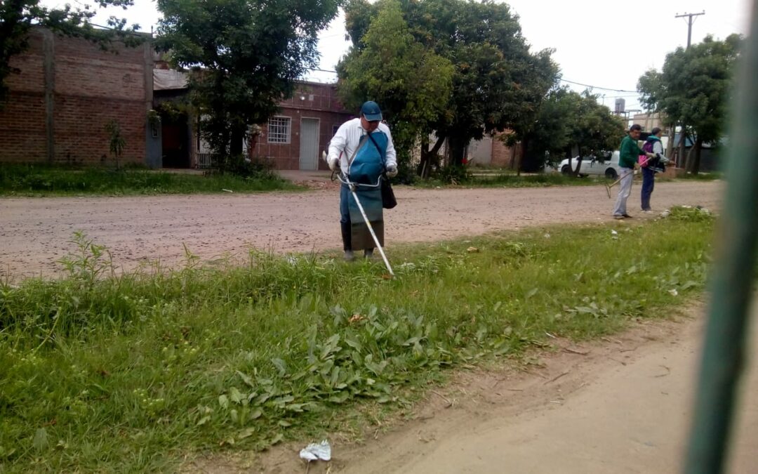 Ejecutamos los operativos correspondientes de limpieza y desmalezado en las E.E.P N° 833 y E.E.P N°804 a través de la Unidad de Servicios del MECCyT.