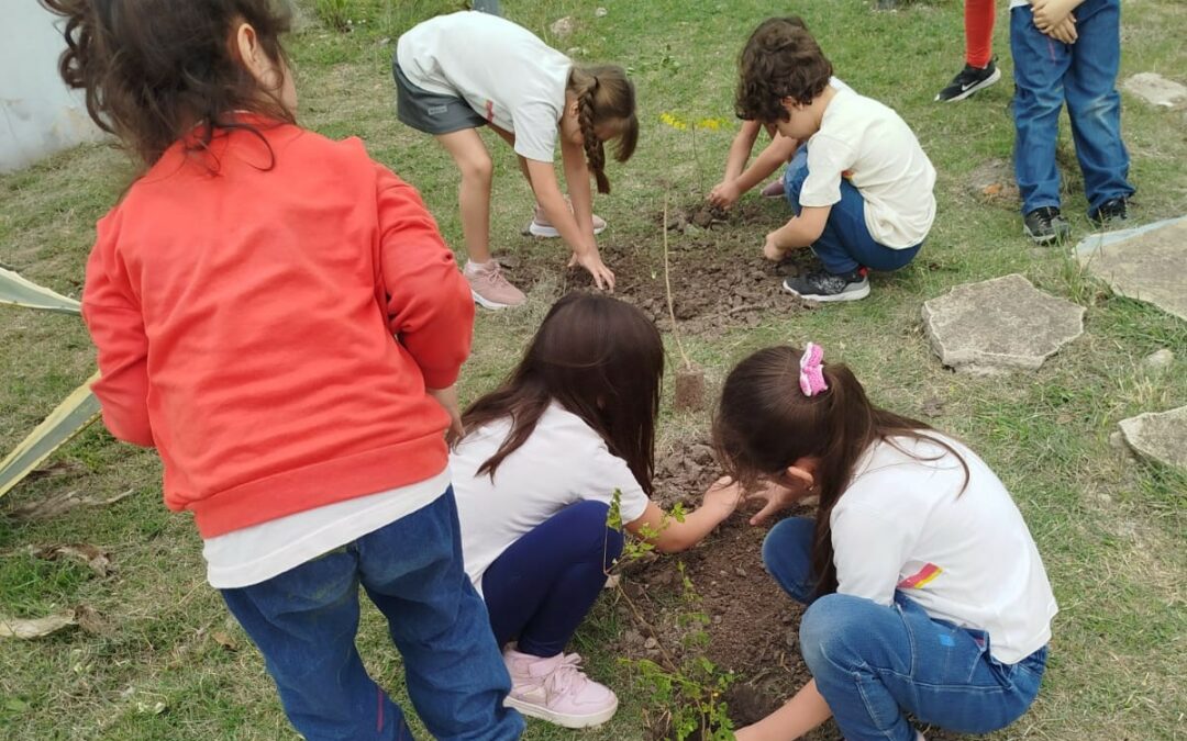 Chaco planta vida: continúa la plantación de árboles autóctonos en escuelas y jardines