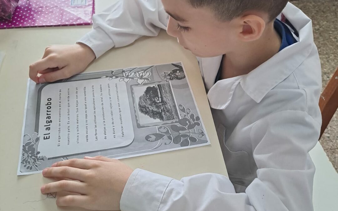 Las escuelas primarias se preparan para un nuevo test de Fluidez Lectora