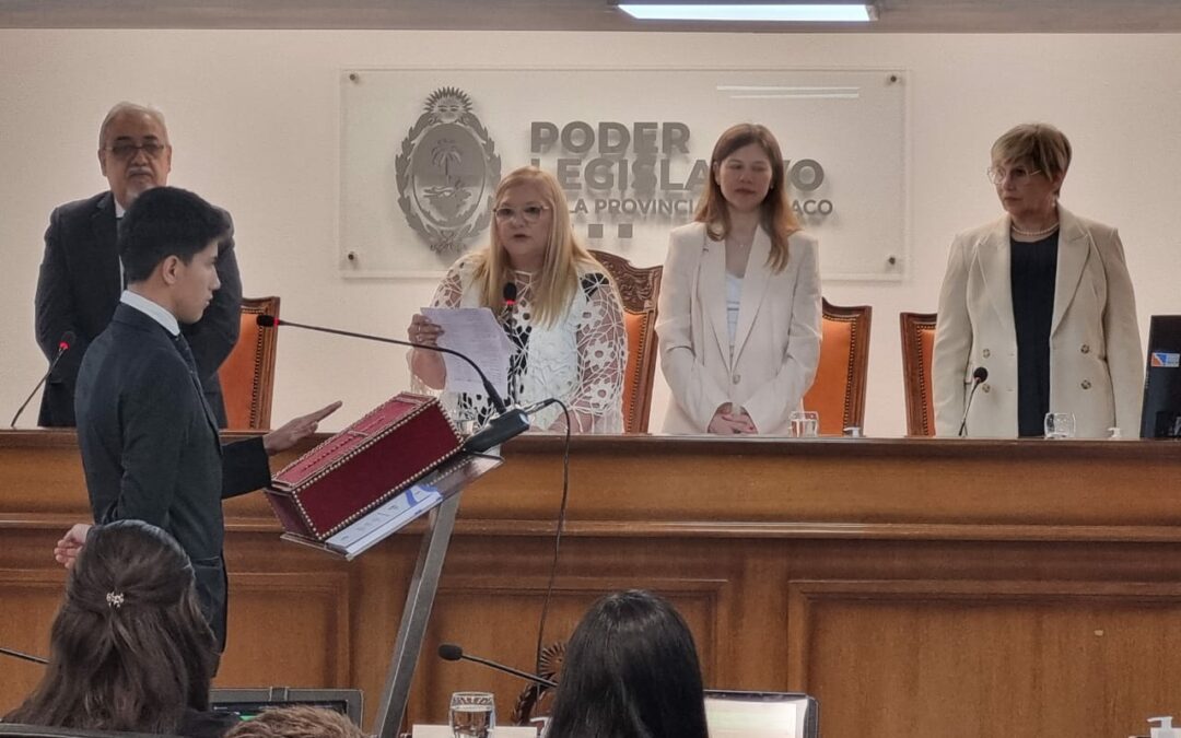 Poder Legislativo Juvenil: 32 estudiantes parlamentarios asumieron el desafío de ser la voz de los jóvenes del Chaco