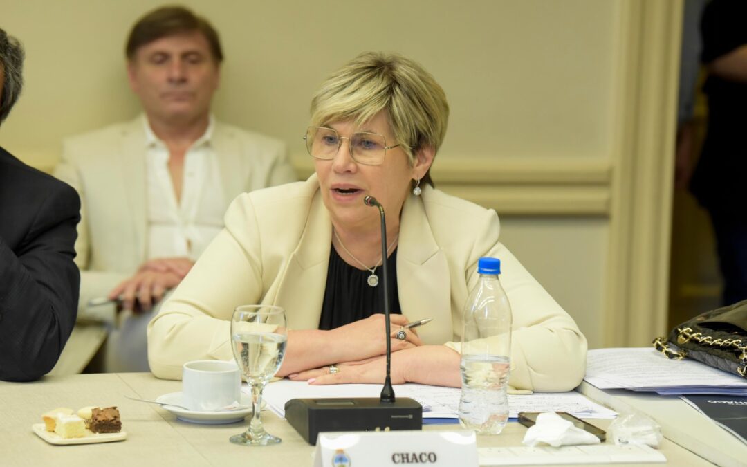 La ministra Naidenoff participó en el Consejo Federal de Educación que tuvo definiciones de cara al ciclo lectivo 2025