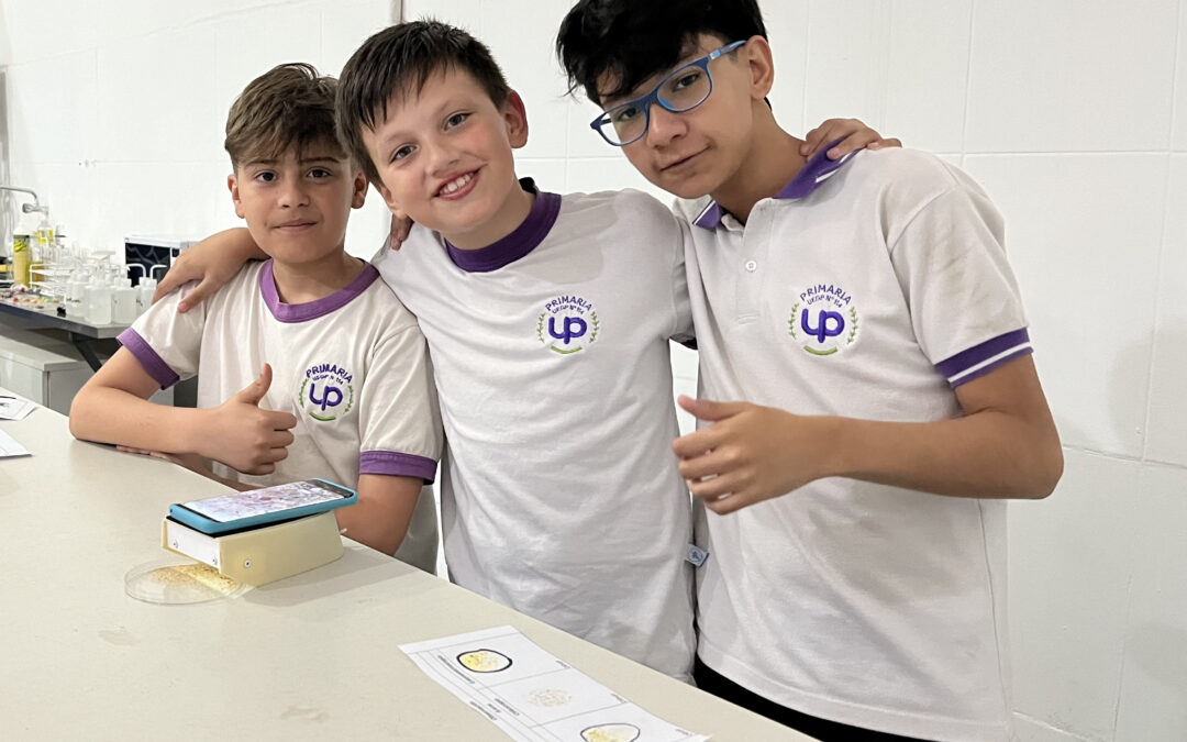 Arranca «Aprender en Verano», el proyecto de fortalecimiento pedagógico del Ministerio de Educación