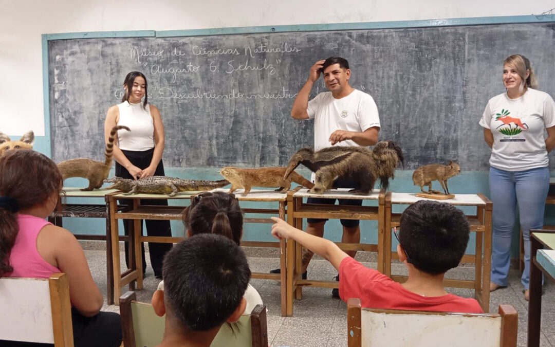 Aprender en Verano: El Museo de Ciencias Naturales “Augusto Schulz” va a la escuela 