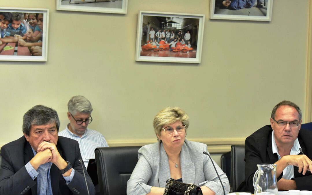 DE CARA AL INICIO DEL CICLO LECTIVO NAIDENOFF RATIFICÓ LA POLÍTICA EDUCATIVA 