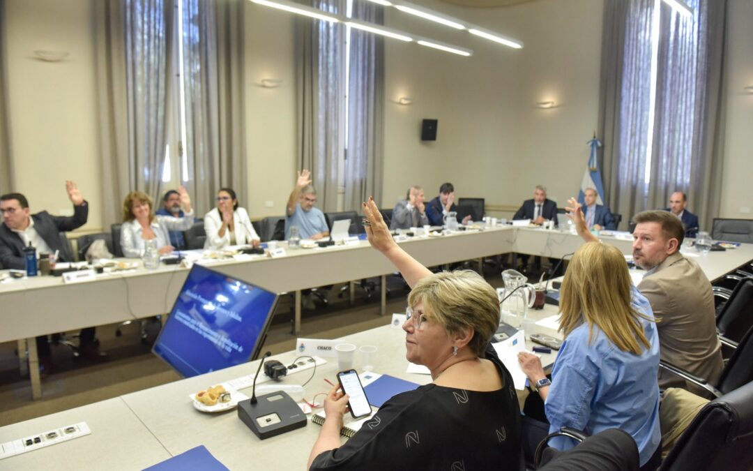 CHACO PRESENTE EN EL CONSEJO FEDERAL DE EDUCACIÓN: LAS JURISDICCIONES AVANZAN EN LOS PLANES DE ALFABETIZACIÓN Y EVALUACIÓN DE APRENDIZAJES 