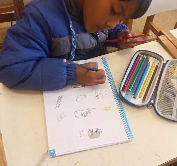 EDUCACiÓN: MÁS DE 300 MIL LIBROS DE «APRENDO LEYENDO» YA SON UTILIZADOS EN LAS AULAS CHAQUEÑAS 