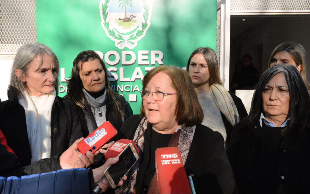 CAYÓ LA SESIÓN ESPECIAL DE LA LEGISLATURA: LA MINISTRA NAIDENOFF NO PUDO EXPLICAR EL RUMBO DE LA POLÍTICA EDUCATIVA EN LA PROVINCIA