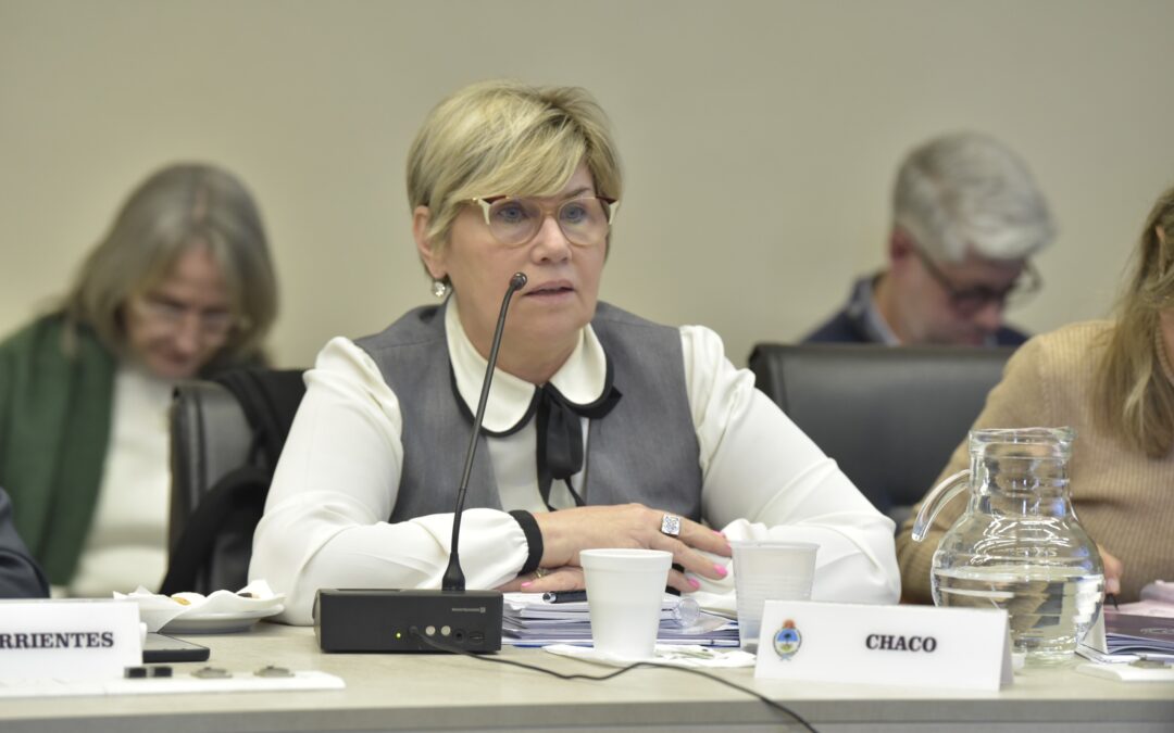 Con la participación de Chaco, el Consejo Federal de Educación avanzó en nuevos marcos de referencia para la Educación Técnico Profesional