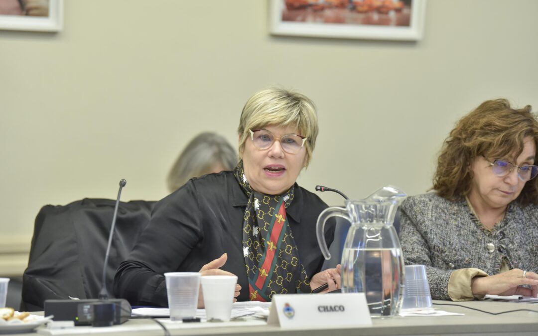 CHACO PRESENTE EN EL CONSEJO FEDERAL DE EDUCACIÓN QUE APROBÓ PAUTAS FEDERALES PARA EL MEJORAMIENTO DE LA ENSEÑANZA Y APRENDIZAJE 