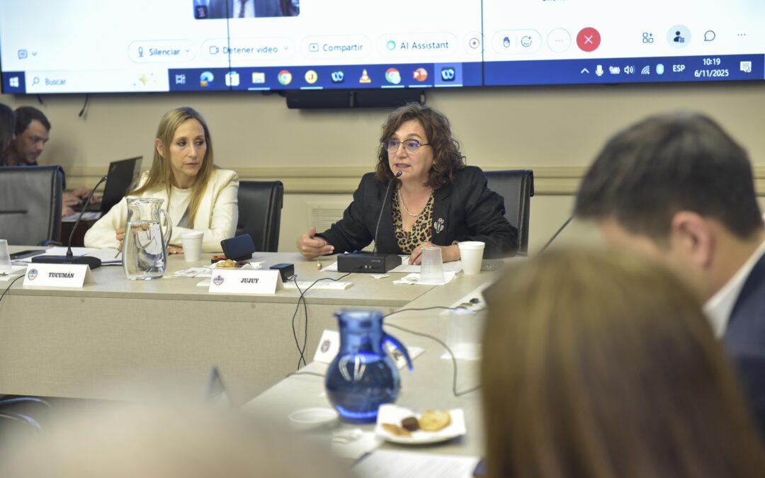 CONSEJO FEDERAL DE EDUCACIÓN: CHACO SE SUMA AL ACUERDO DE GARANTIZAR LOS 190 DÍAS DE CLASES